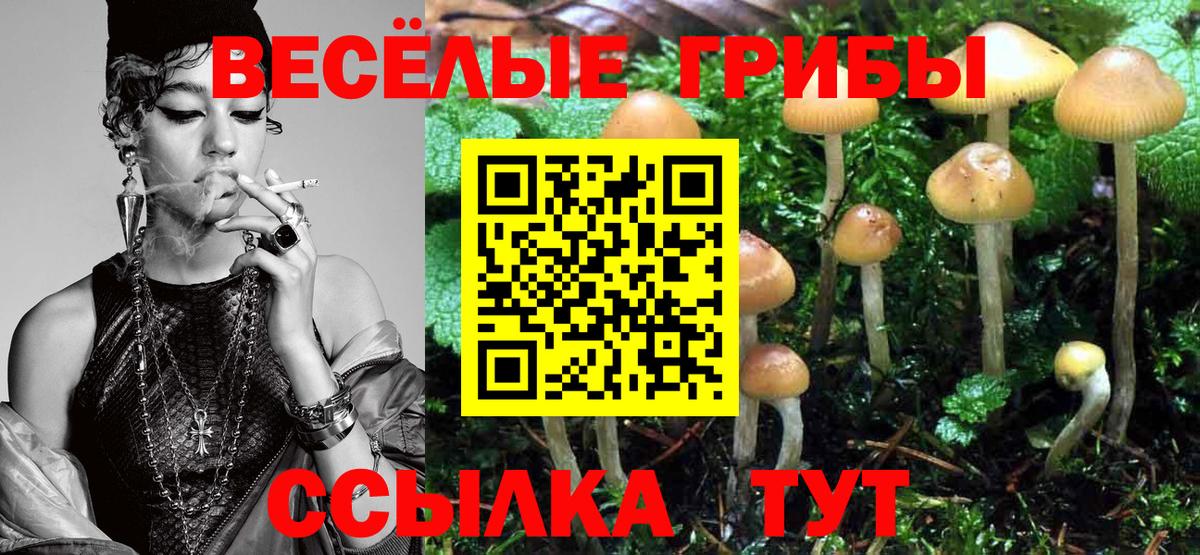 Орехово-Зуево  Галлюциногенные грибы мухоморы  Вход с VPN 